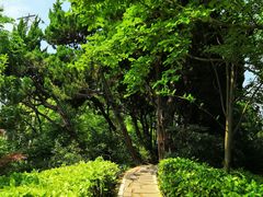 -嘉定紫藤园