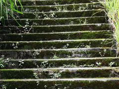 -井冈山风景名胜区