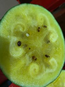 0 服务 : 2.0 买了一个黄瓤的小西瓜,切开后完全坏了,不知道放了多久!