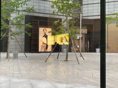 -Apple零售店(华贸购物中心店)
