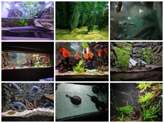 -上海海洋水族馆