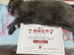 -宠颐生汉谟拉比宠物医院