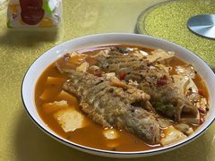 -煲来饱去冷水鱼
