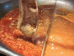 -九鼎轩脆毛肚火锅(三钢里店)