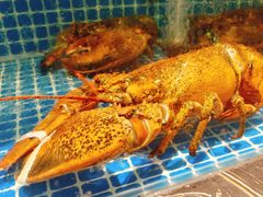 -肥福排档(星光店)