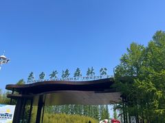 -黄海国家森林公园