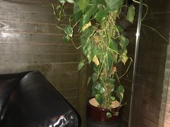 -C&R西班牙餐厅