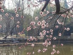 -宣武艺园