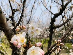 -尚贤河湿地