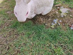 -中国杭州低碳科技馆