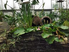 -国家植物园南园