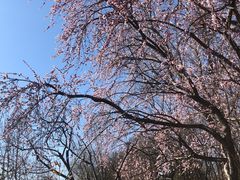 -玲珑塔公园