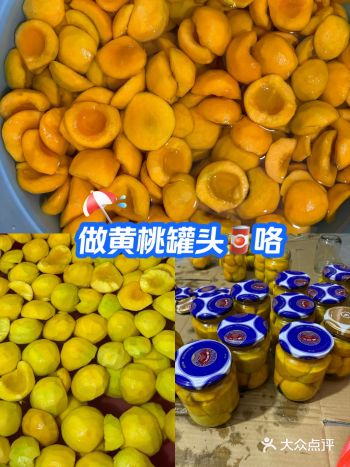 #0元玩转这座城亲戚给送了一大筐83黄桃，我拿起一个