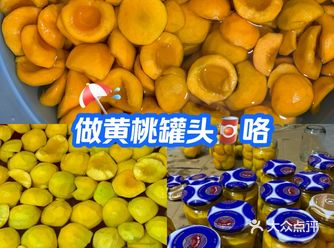 #0元玩转这座城亲戚给送了一大筐83黄桃，我拿起一个