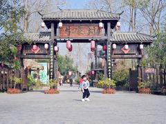 -合肥滨湖国家森林公园