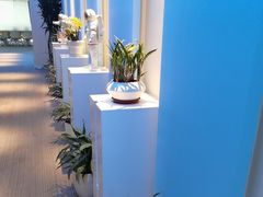 -爱氧森林·日本兴百世SHENPIX微高压氧舱