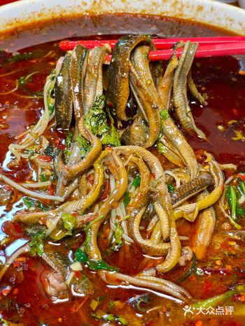 吃了无数八回的川菜馆子！我还是想说……