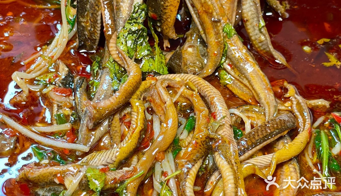吃了无数八回的川菜馆子！我还是想说……