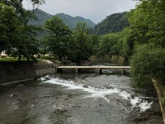 -黎坪国家森林公园