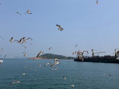 -海驴岛(荣成市)