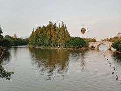 -江心屿景区