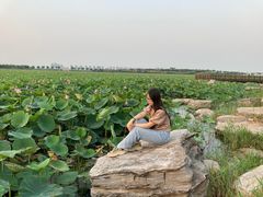 -天津东丽湖风景区