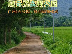 -风云岭森林公园