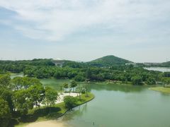 -上海佘山世茂艾美酒店