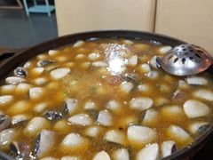 -顺德哥卜卜贝(旗舰店)