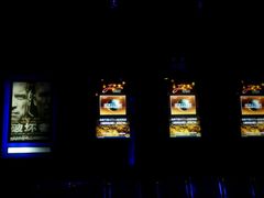 -大地影院(雅安灯塔魅力印象店)