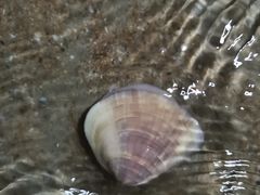 -金鸡岭桥头公园