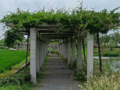 -嘉北郊野公园
