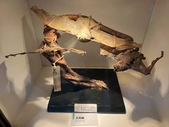 -国家自然博物馆