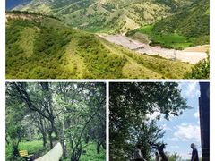 -中华福寿山