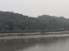 -野狸岛