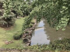 -四川大学(江安校区)