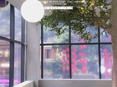 -PINTEA LAB(北京路店)