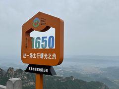 -王莽岭风景区