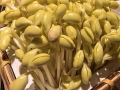-巴奴毛肚火锅(京西大悦城店)