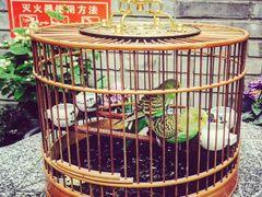 -顺承小院儿