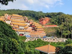 -东莞市大岭山森林公园