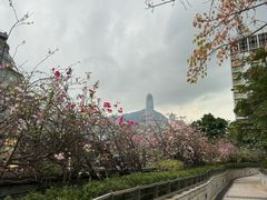 -香港尖沙咀皇悦酒店