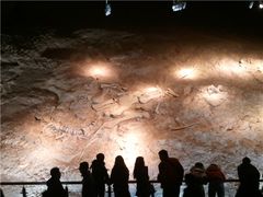 -世界恐龙谷景区