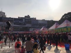 -绵阳人民公园(涪城区)