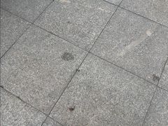 -索拉古贝(义乌北苑店)