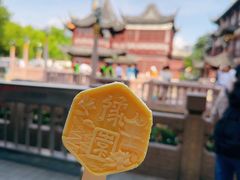 -老城隍庙食品商店(豫园商城店)