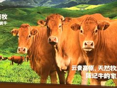 -陈记顺和潮汕鲜牛肉火锅(棠德南路店)