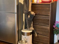 -北京恒爱动物医院(清景园分院)