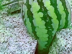 -全聚德(长江路店)