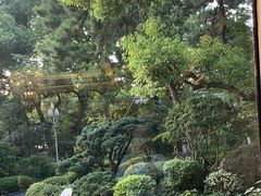 -浙江西子宾馆·瑶园咖啡厅